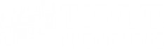towne- corp site - white logo